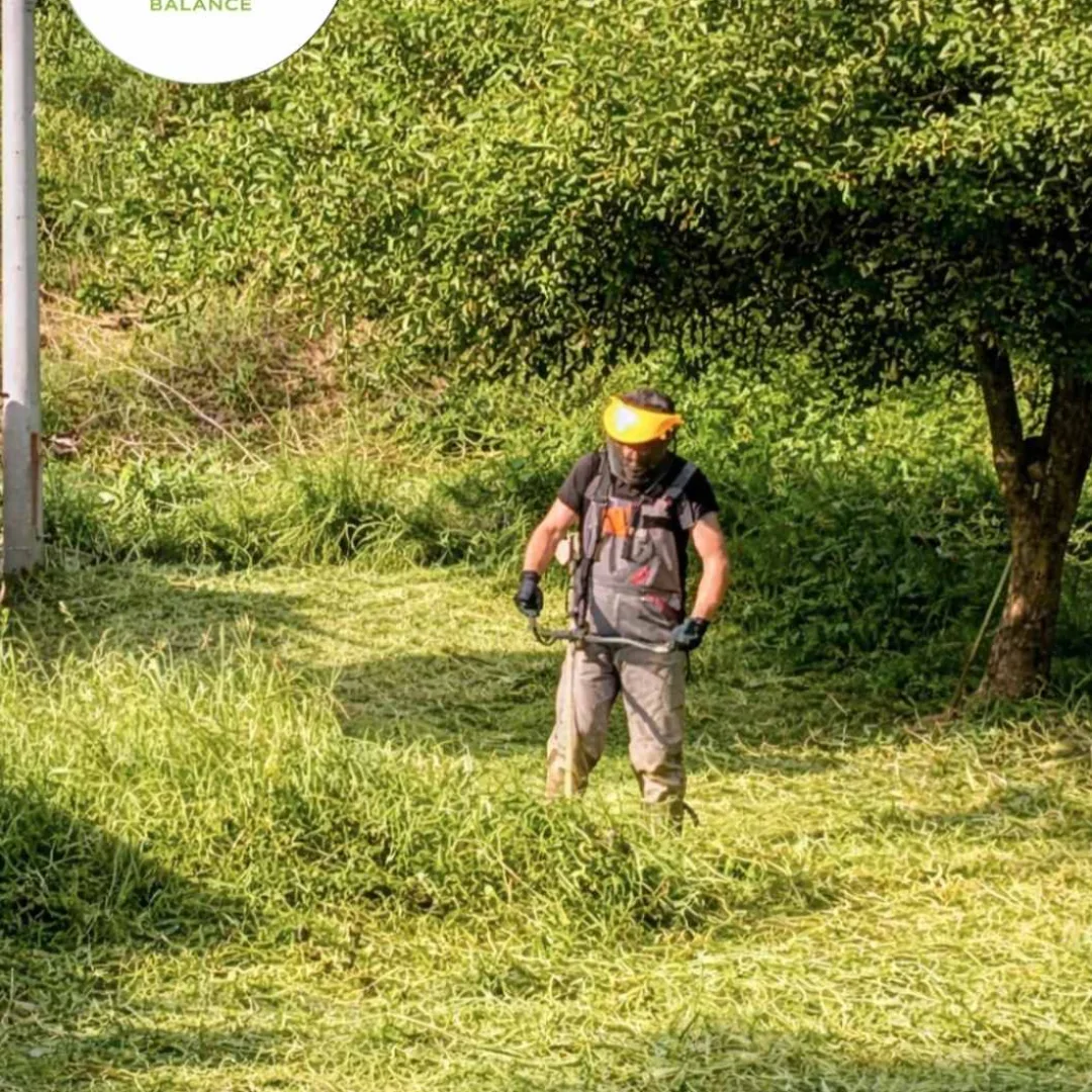 Uređivanje dvorišta i bašte